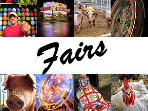 Tennessee State Fair and county fairs